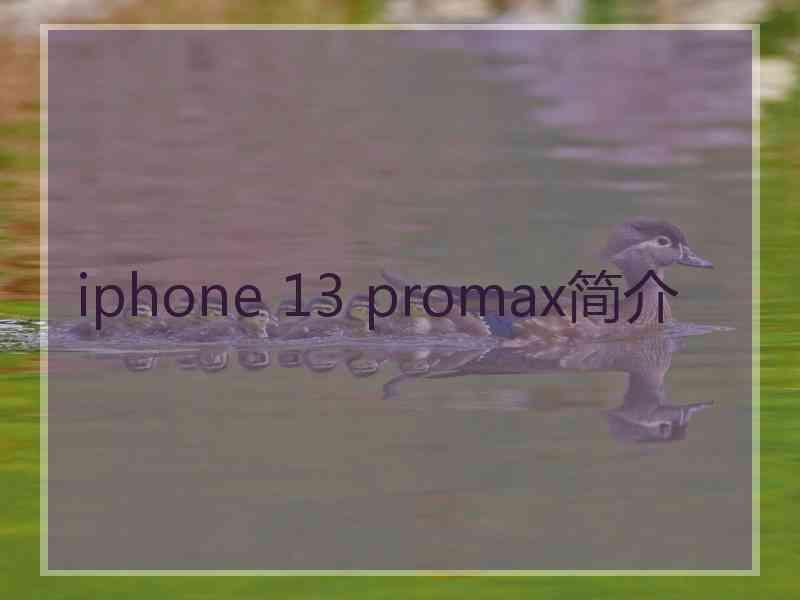 iphone 13 promax简介