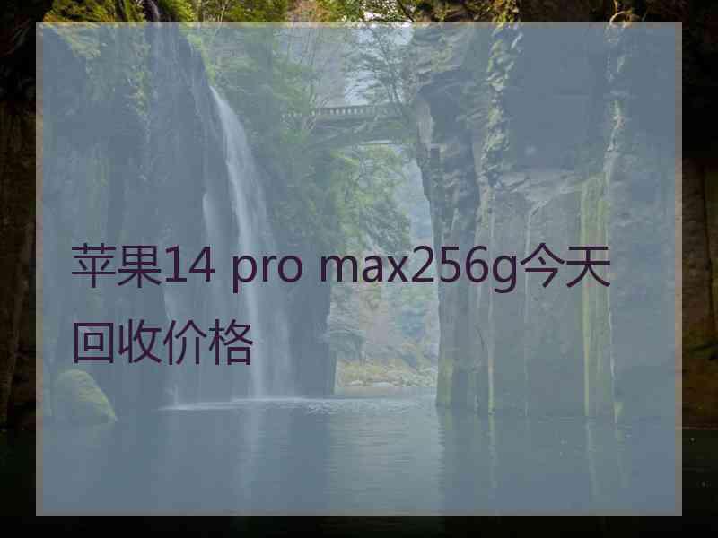 苹果14 pro max256g今天回收价格