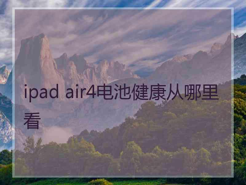 ipad air4电池健康从哪里看