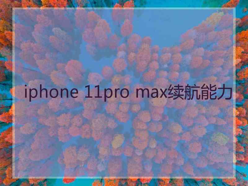 iphone 11pro max续航能力