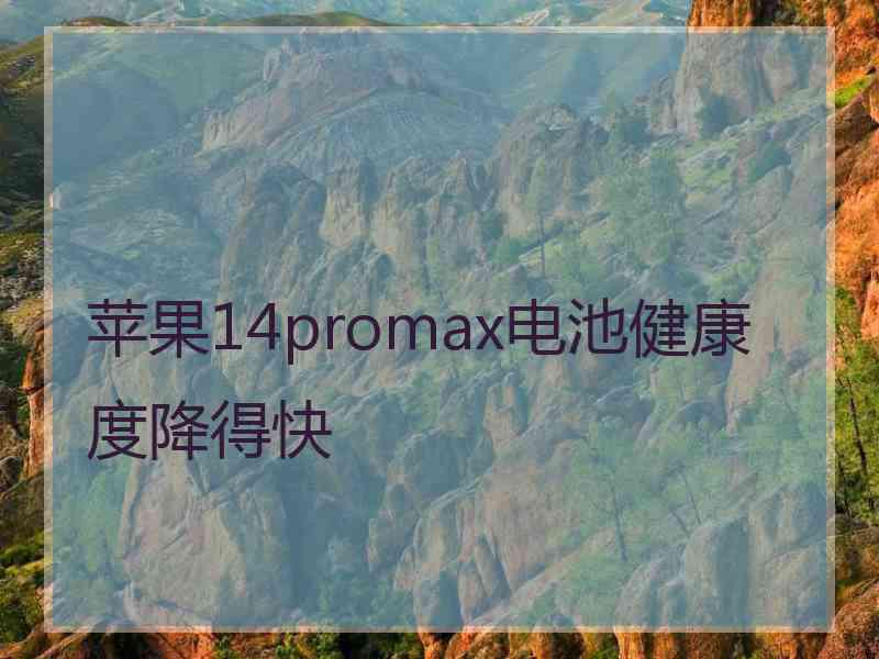 苹果14promax电池健康度降得快