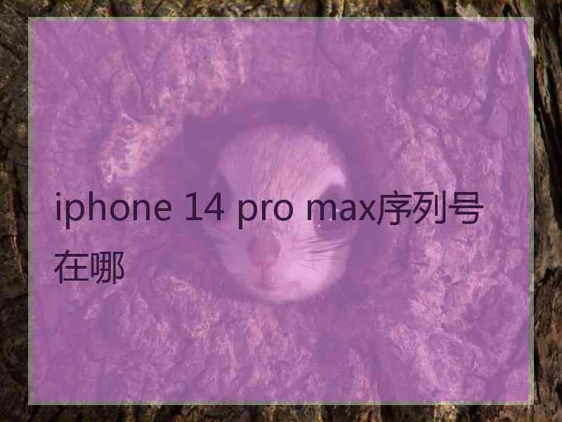 iphone 14 pro max序列号在哪