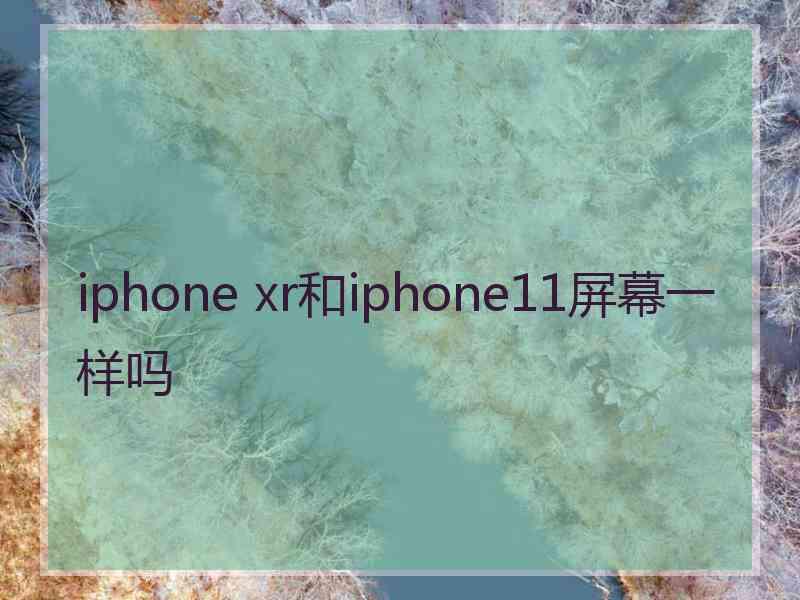 iphone xr和iphone11屏幕一样吗