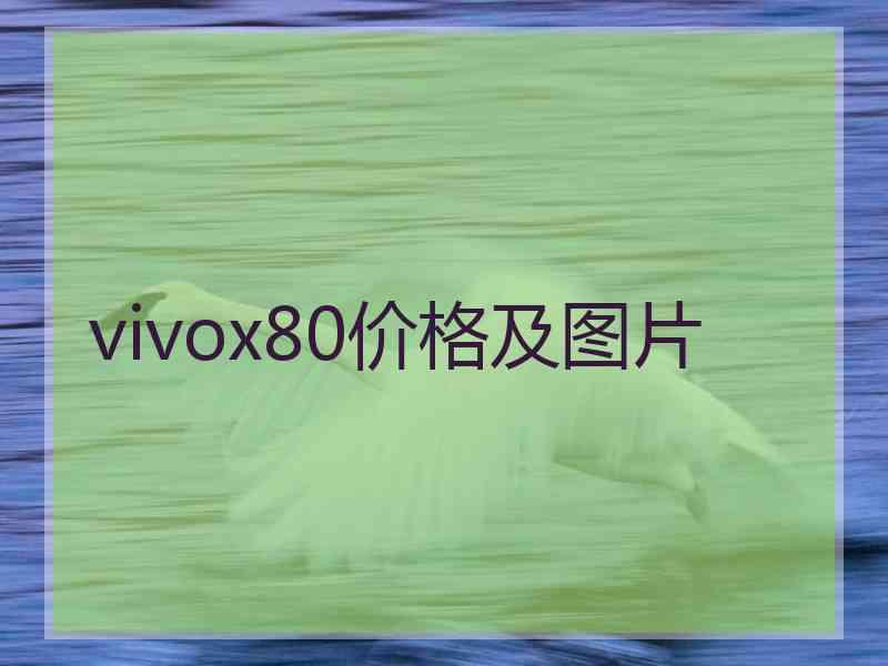 vivox80价格及图片