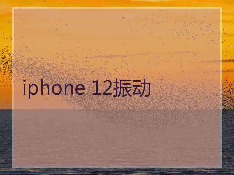 iphone 12振动