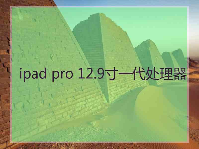 ipad pro 12.9寸一代处理器