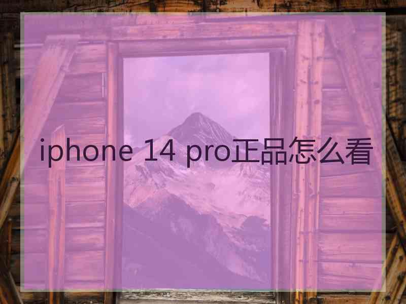 iphone 14 pro正品怎么看