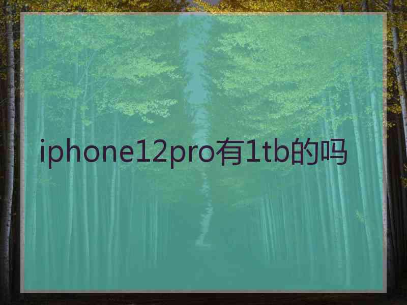 iphone12pro有1tb的吗