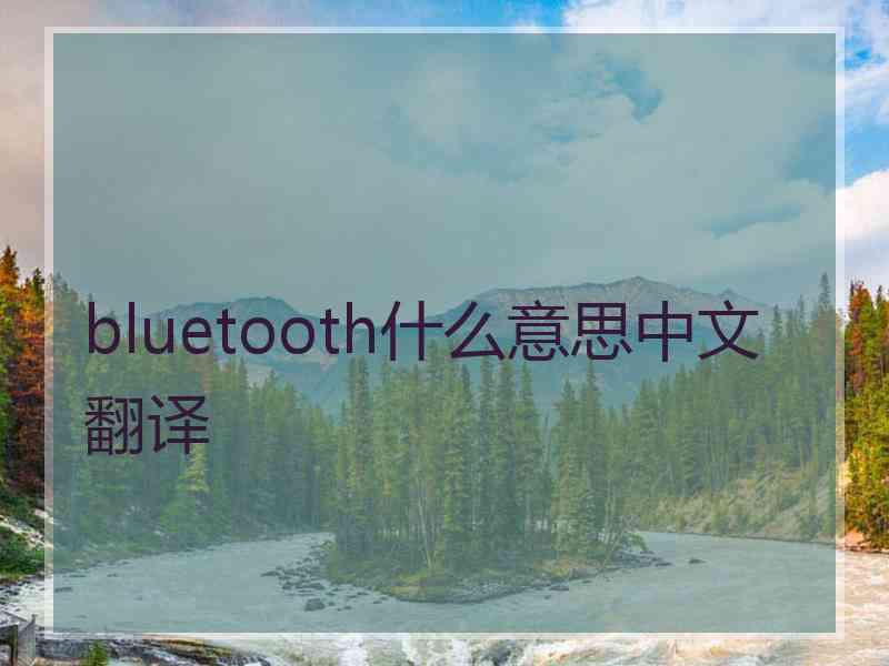 bluetooth什么意思中文翻译