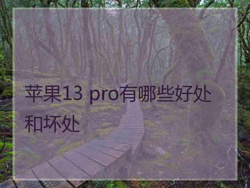 苹果13 pro有哪些好处和坏处