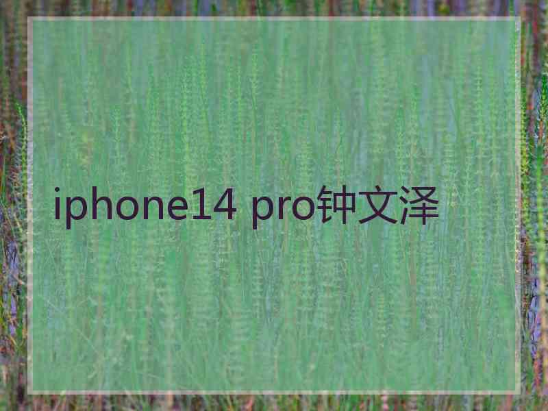 iphone14 pro钟文泽