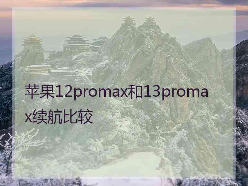 苹果12promax和13promax续航比较