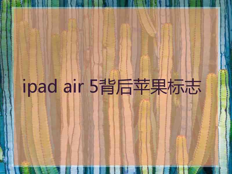 ipad air 5背后苹果标志