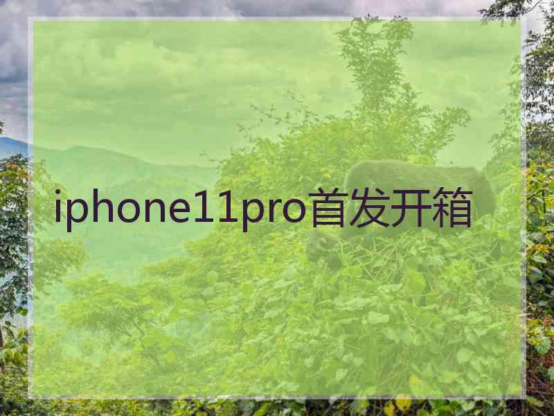 iphone11pro首发开箱