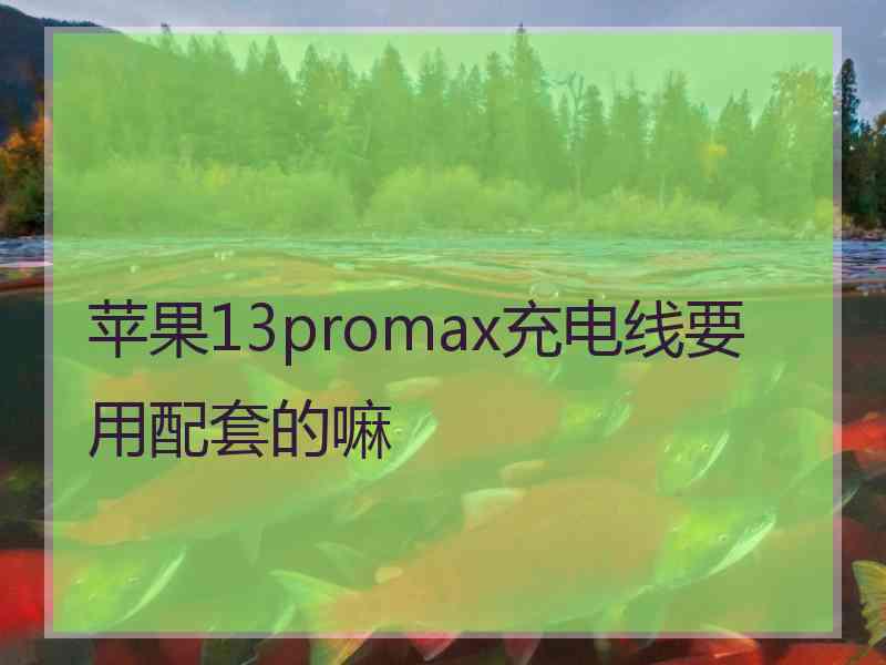 苹果13promax充电线要用配套的嘛