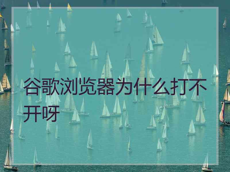 谷歌浏览器为什么打不开呀