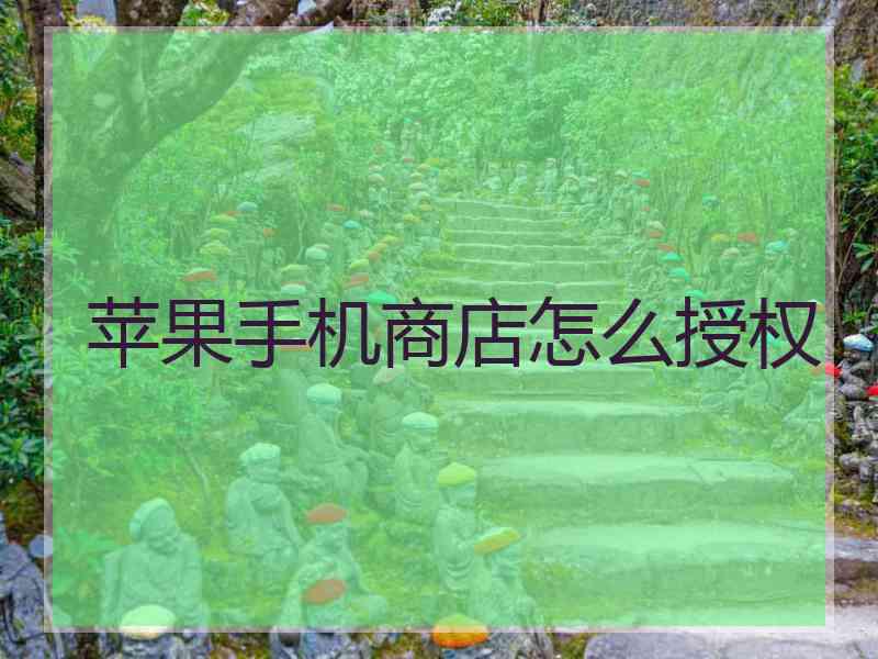 苹果手机商店怎么授权