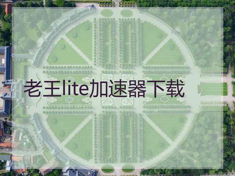 老王lite加速器下载