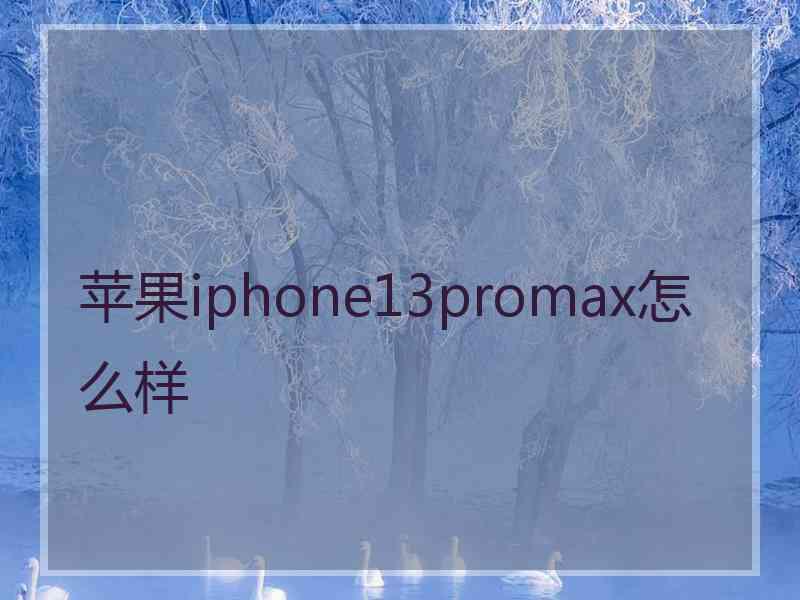 苹果iphone13promax怎么样