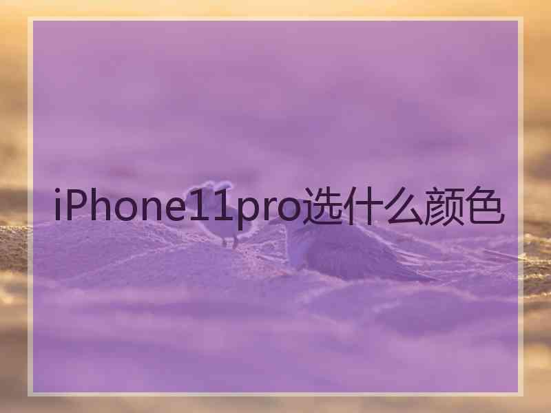 iPhone11pro选什么颜色