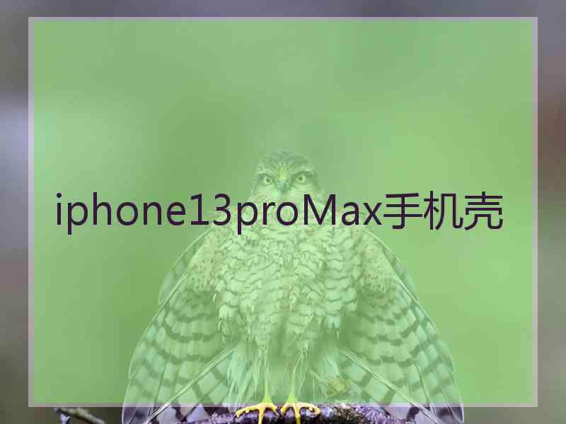 iphone13proMax手机壳