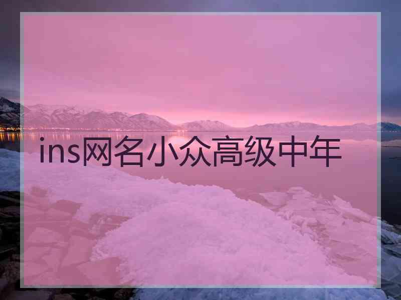 ins网名小众高级中年