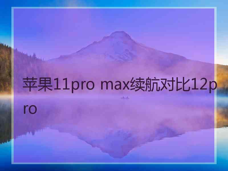 苹果11pro max续航对比12pro