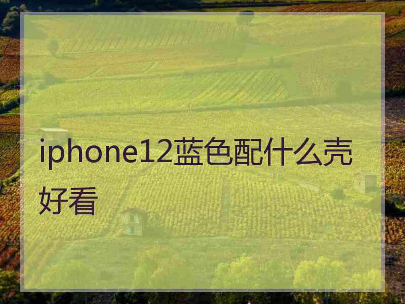 iphone12蓝色配什么壳好看