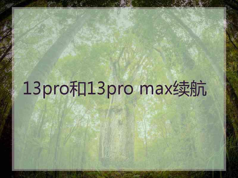 13pro和13pro max续航