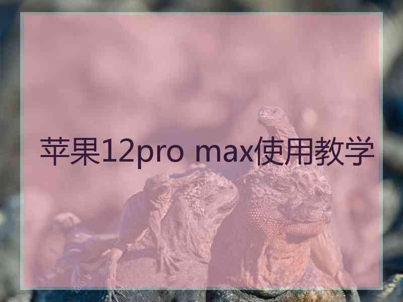 苹果12pro max使用教学