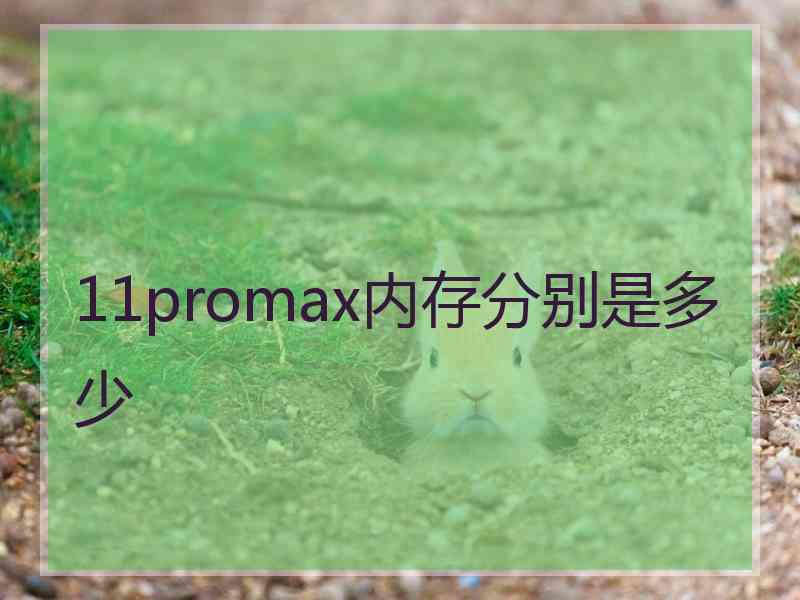 11promax内存分别是多少