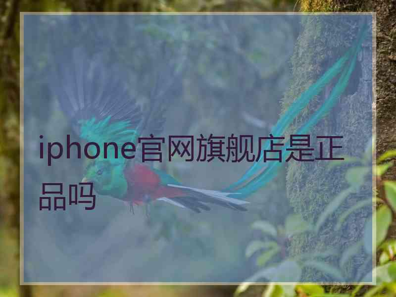 iphone官网旗舰店是正品吗