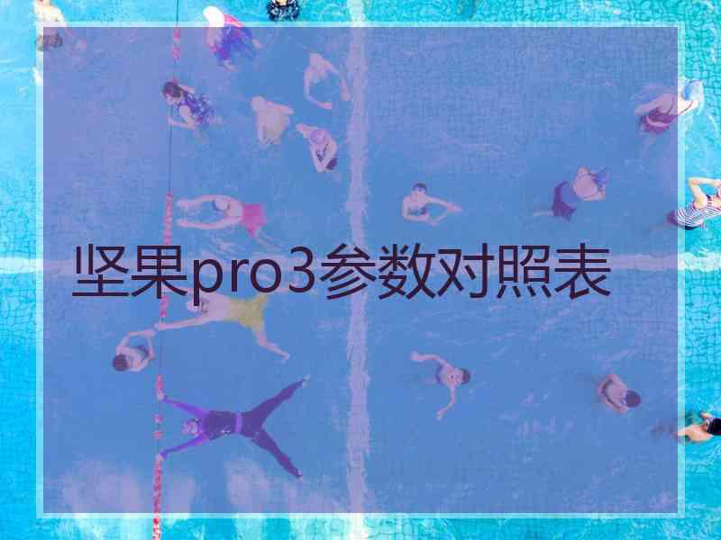 坚果pro3参数对照表