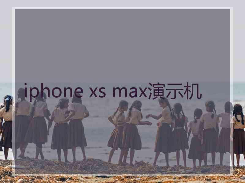 iphone xs max演示机