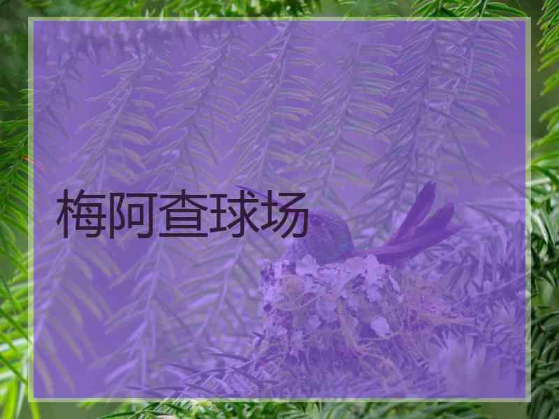 梅阿查球场