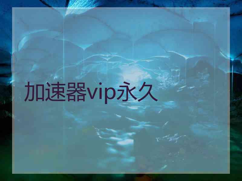 加速器vip永久