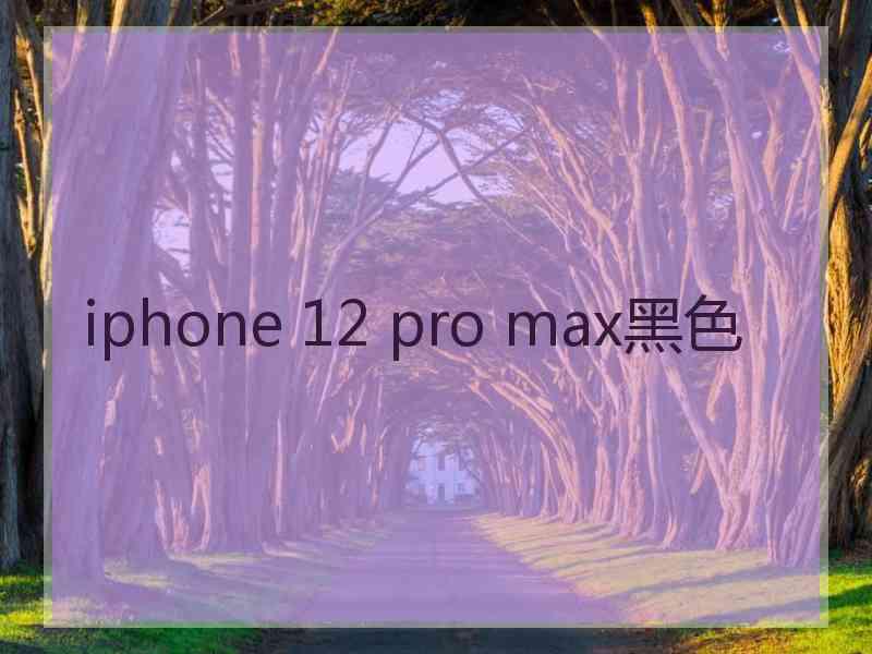 iphone 12 pro max黑色