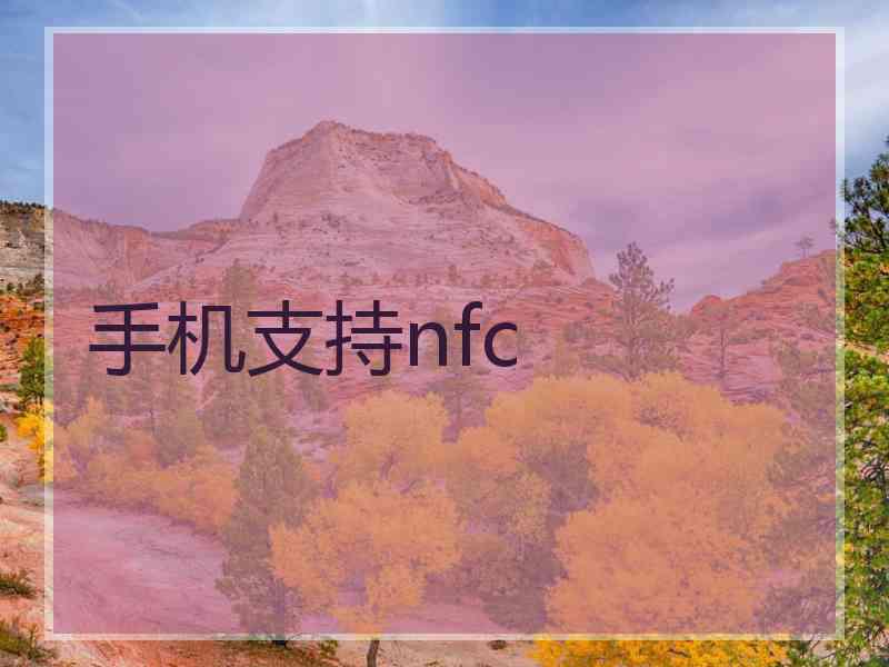 手机支持nfc