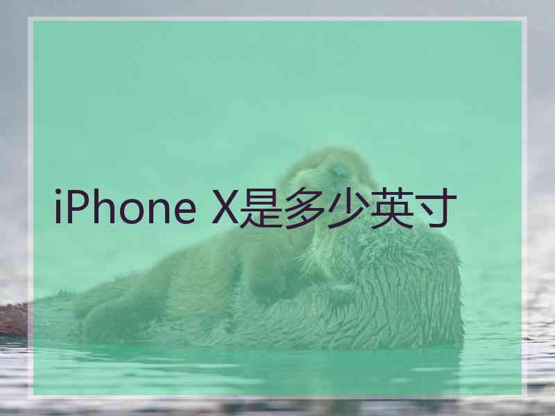 iPhone X是多少英寸