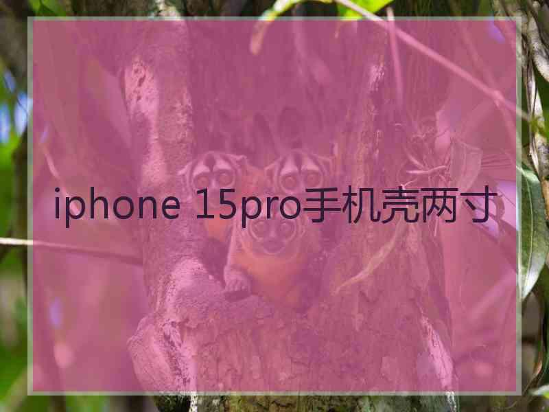 iphone 15pro手机壳两寸