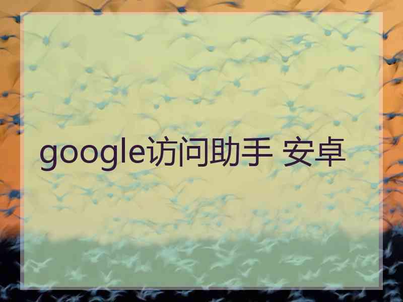 google访问助手 安卓