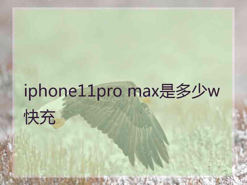 iphone11pro max是多少w快充