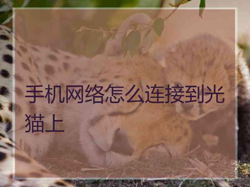 手机网络怎么连接到光猫上