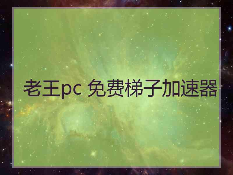 老王pc 免费梯子加速器