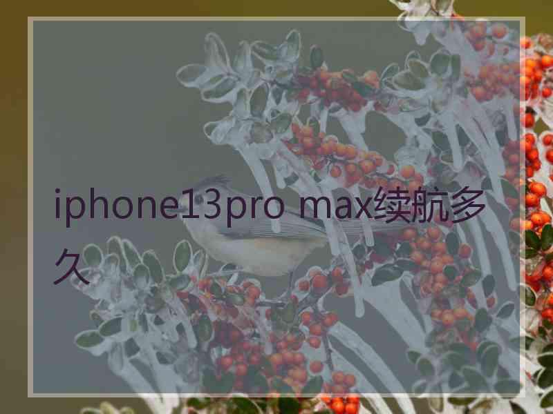 iphone13pro max续航多久