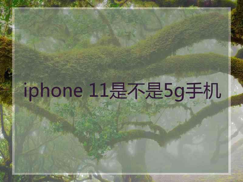 iphone 11是不是5g手机