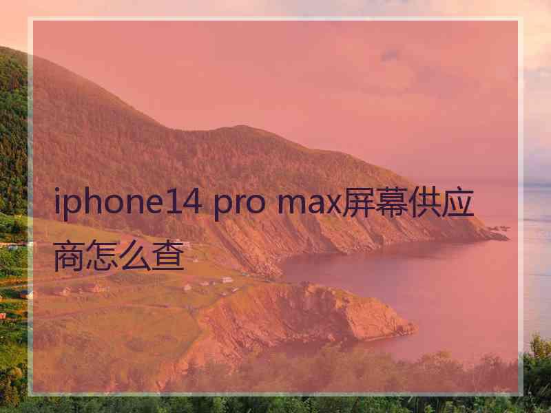 iphone14 pro max屏幕供应商怎么查