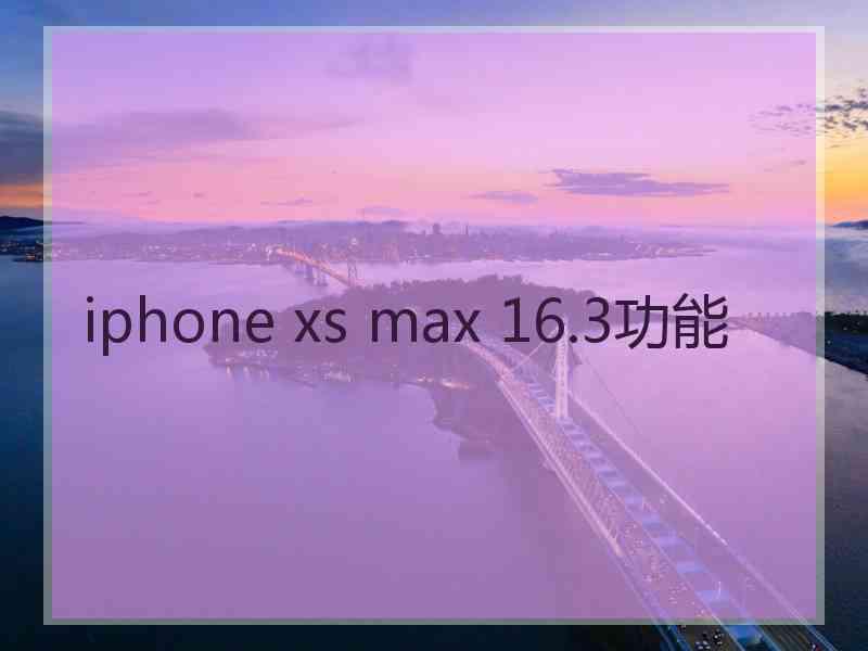 iphone xs max 16.3功能