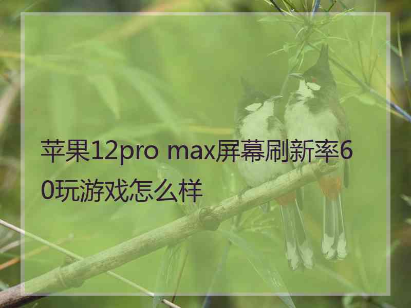 苹果12pro max屏幕刷新率60玩游戏怎么样