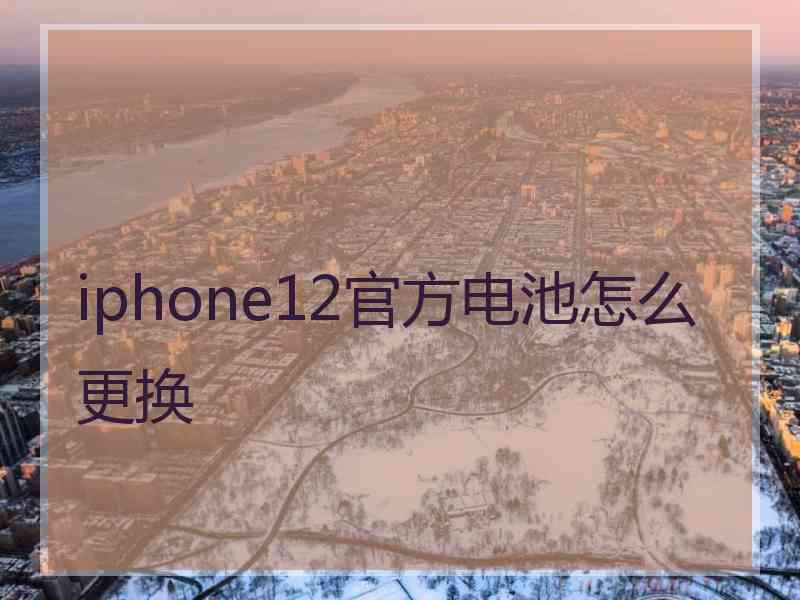 iphone12官方电池怎么更换